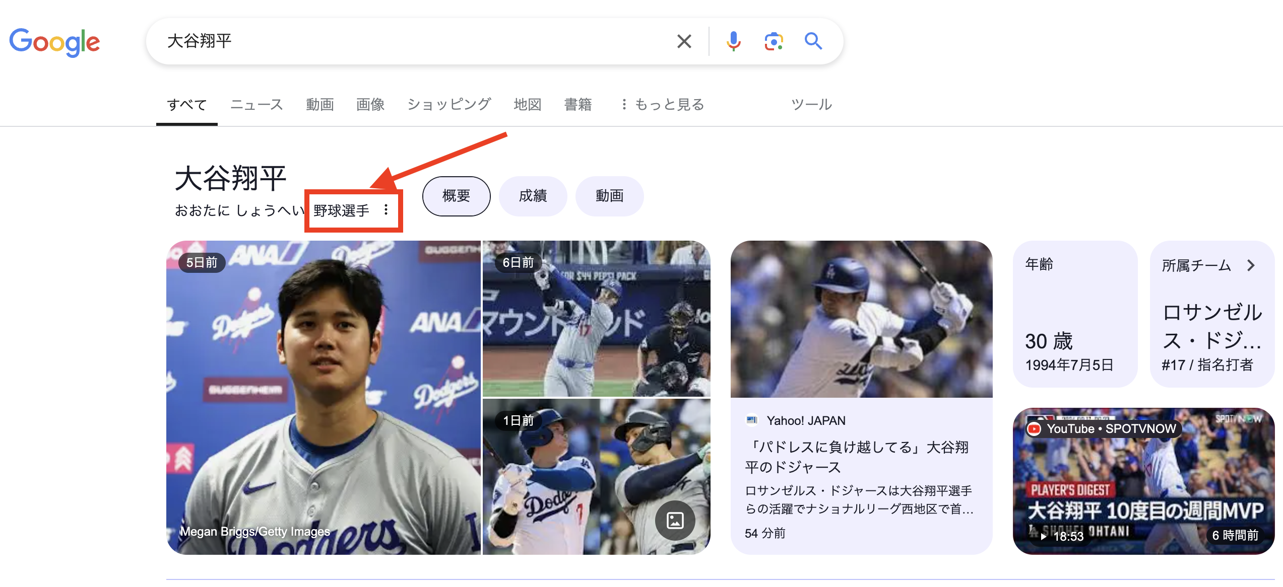 大谷翔平のナレッジパネル